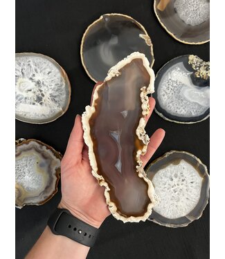 Agate Slice Size #6 Natural