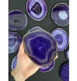 Agate Slice Size #6 Purple