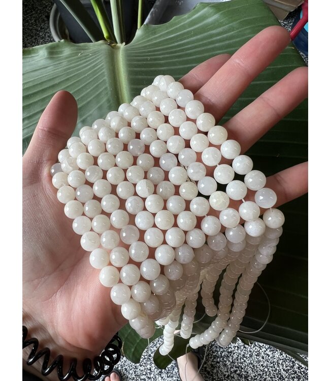 White Jade Beads Polished 15" Strand 4mm 6mm 8mm