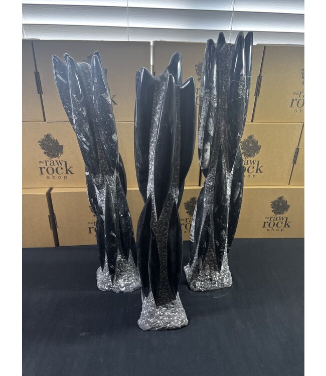 Orthoceras Tower, Orthoceras Fossil 52-54cm