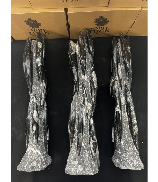 Orthoceras Tower, Orthoceras Fossil 55-58cm