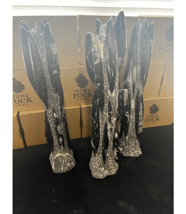 Orthoceras Tower, Orthoceras Fossil 55-58cm