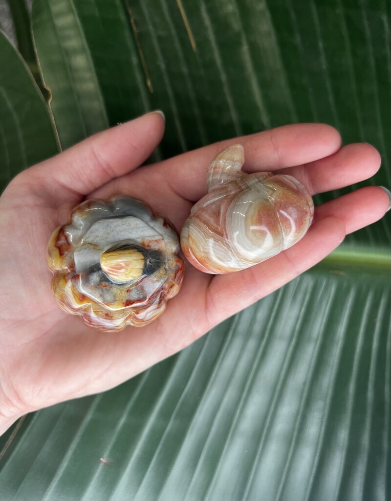 Crazy Lace Agate Small Pumpkin *disc.*