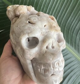 Large Flower Agate Skull #3, 1574gr *disc*