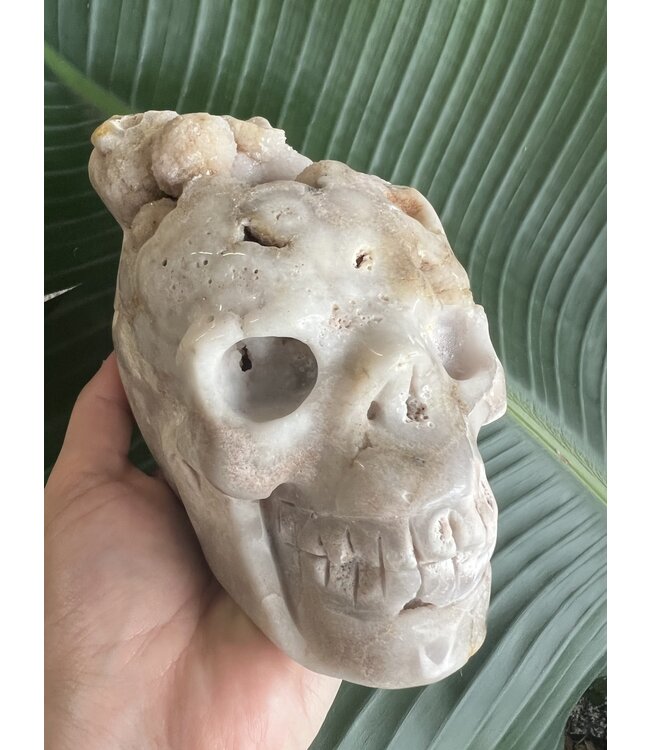Large Flower Agate Skull #3, 1574gr *disc*