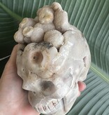 Large Flower Agate Skull #3, 1574gr *disc*