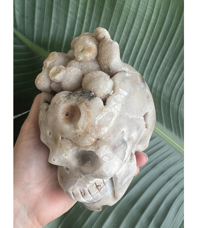 Large Flower Agate Skull #3, 1574gr *disc*