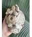 Large Flower Agate Skull #3, 1574gr *disc*