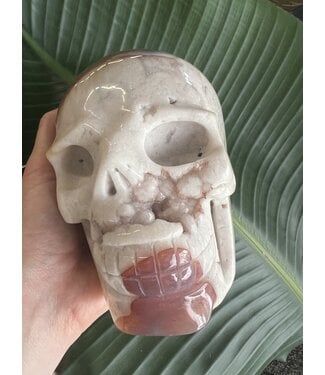 Large Flower Agate Skull #4, 2200gr *disc*