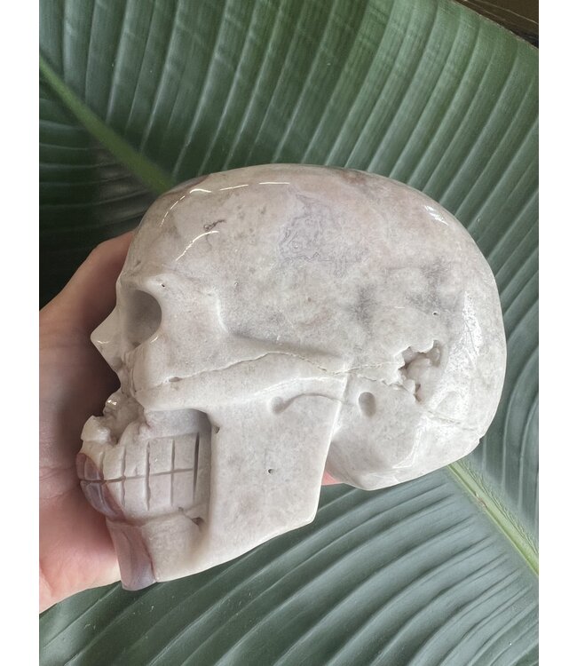 Large Flower Agate Skull #4, 2200gr *disc*
