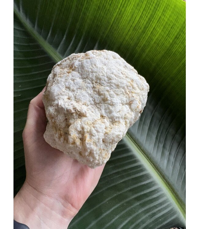 Break Your Own Moroccan Geode, Size 9 [800-899gr]