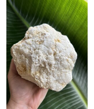 Break Your Own Moroccan Geode, Size 12 [1100-1199gr]