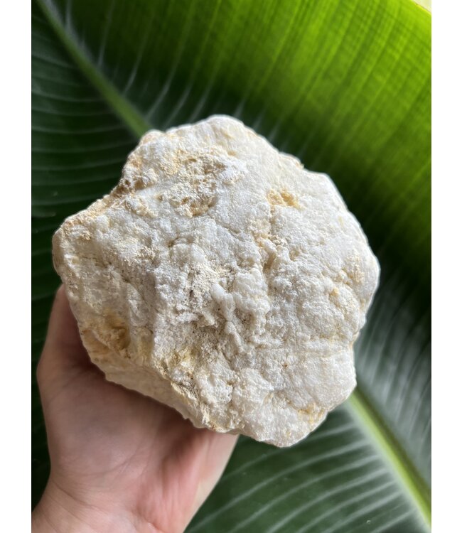 Break Your Own Moroccan Geode, Size 12 [1100-1199gr]