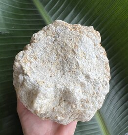 Break Your Own Moroccan Geode, Size 11 [1000-1099gr]