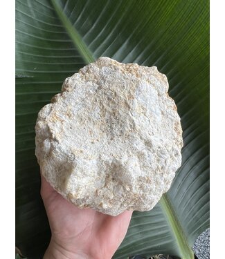 Break Your Own Moroccan Geode, Size 11 [1000-1099gr]