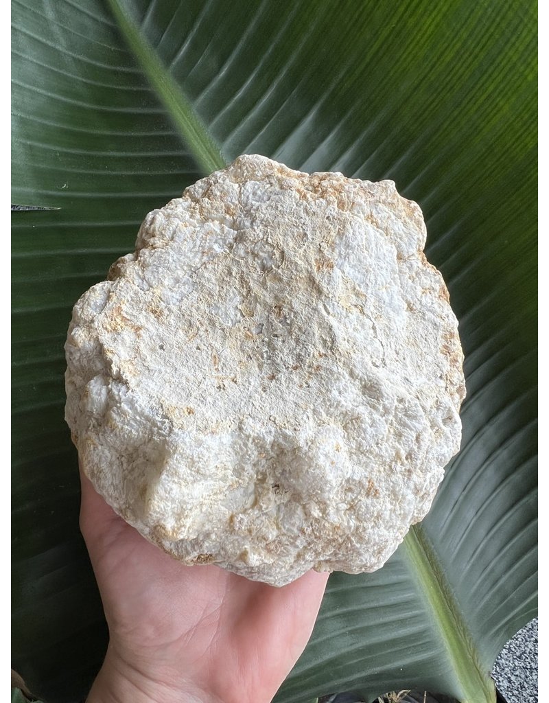 Break Your Own Moroccan Geode, Size 11 [1000-1099gr]