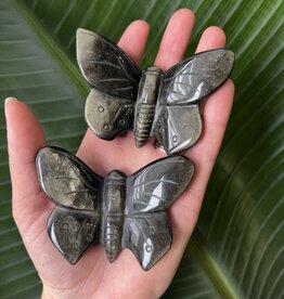 Gold Sheen Obsidian Butterfly Carving
