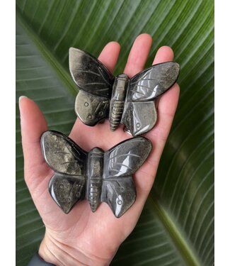 Gold Sheen Obsidian Butterfly Carving