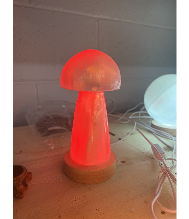 LED Light Base Med, multi colour