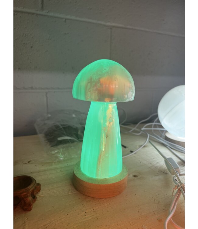 LED Light Base Med, multi colour