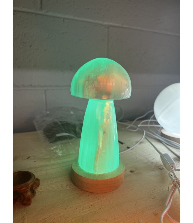 LED Light Base Lrg, multi colour