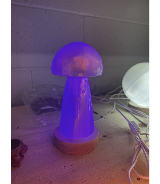 LED Light Base Lrg, multi colour