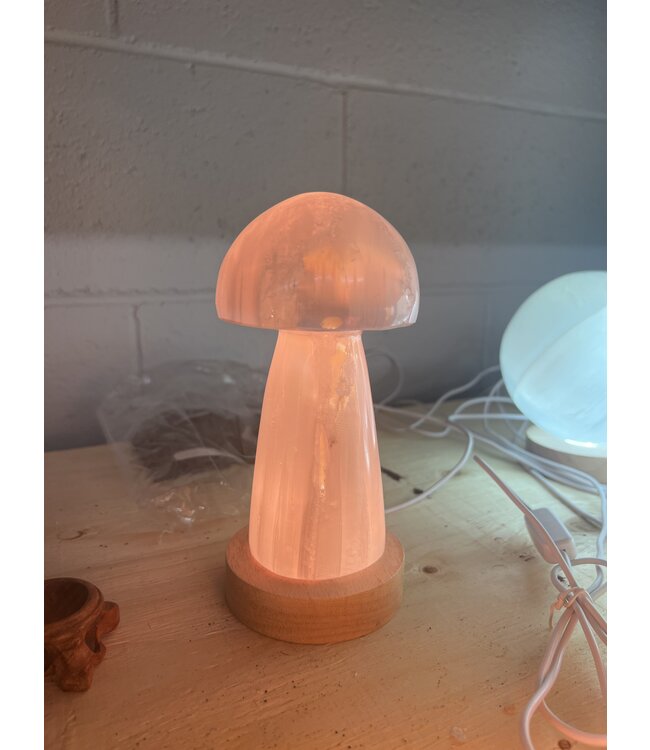 LED Light Base Sml, multi colour