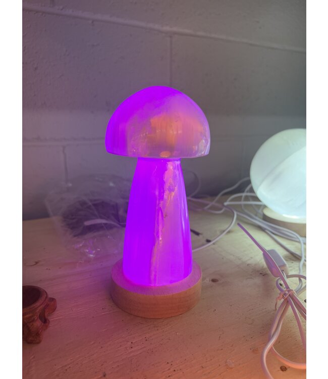 LED Light Base Sml, multi colour