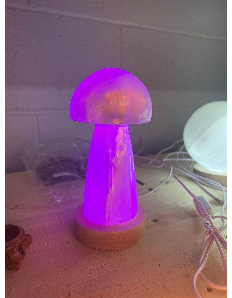 LED Light Base Sml, multi colour The Raw Rock Shop Inc.