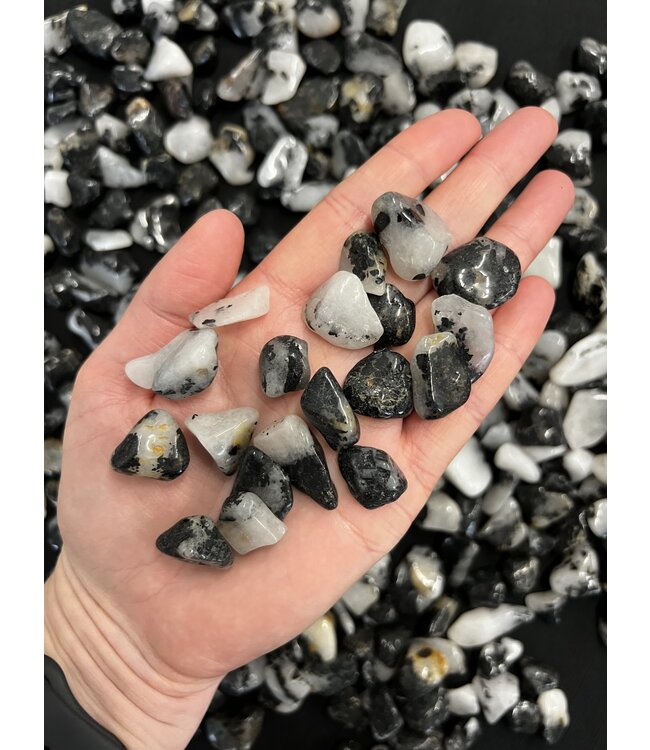 Grade B Tourmalinated Quartz Tumbled Stones; 3 sizes available, purchase bulk