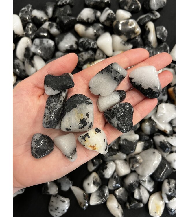 Grade B Tourmalinated Quartz Tumbled Stones; 3 sizes available, purchase bulk