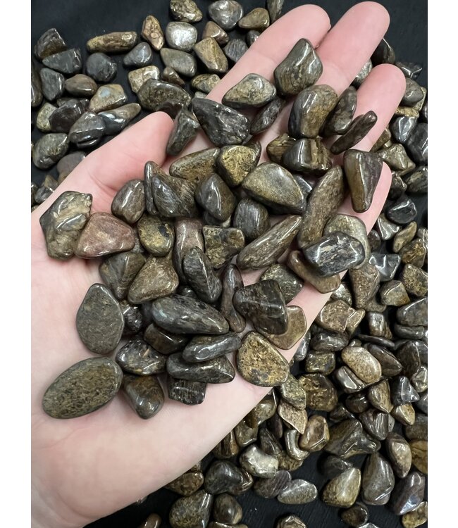 Bronzite Tumbled Stones, Grade A; 2 sizes available, purchase individual or bulk