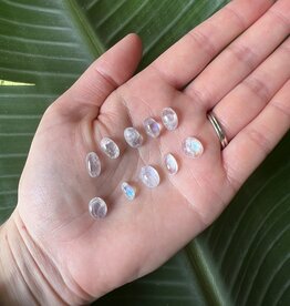 Rainbow Moonstone Cabochon; Oval Shape, Size X-Small *disc.*