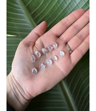 Rainbow Moonstone Cabochon; Oval Shape, Size X-Small *disc.*