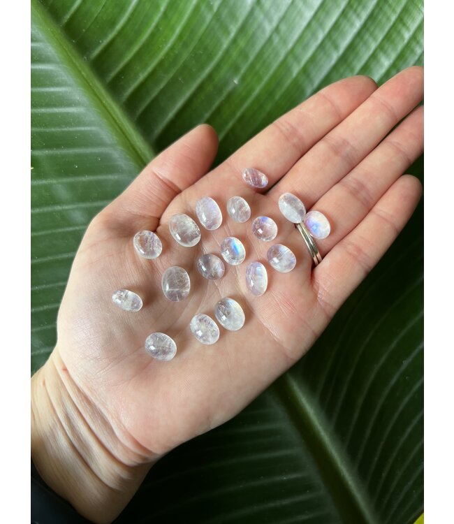 Rainbow Moonstone Cabochon; Oval Shape, Size Small *disc.*
