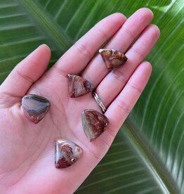 Crazy Lace Agate Cabochon; Triangle Shape, Size Small *disc.*