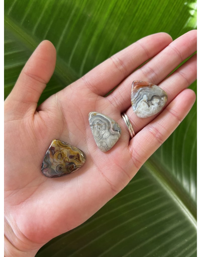Agate cabochon 2024