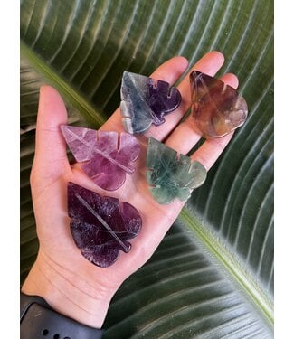 Rainbow Fluorite Leaf, Size XX-Small [25-49gr]