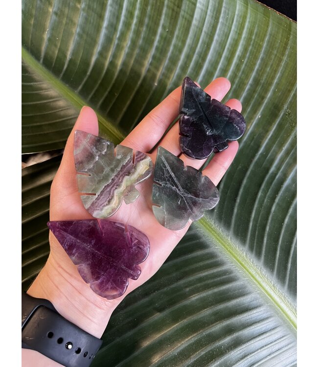 Rainbow Fluorite Leaf, Size X-Small [50-74gr]