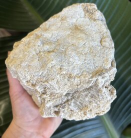 Break Your Own Moroccan Geode, Size 21 [2000-2099gr]