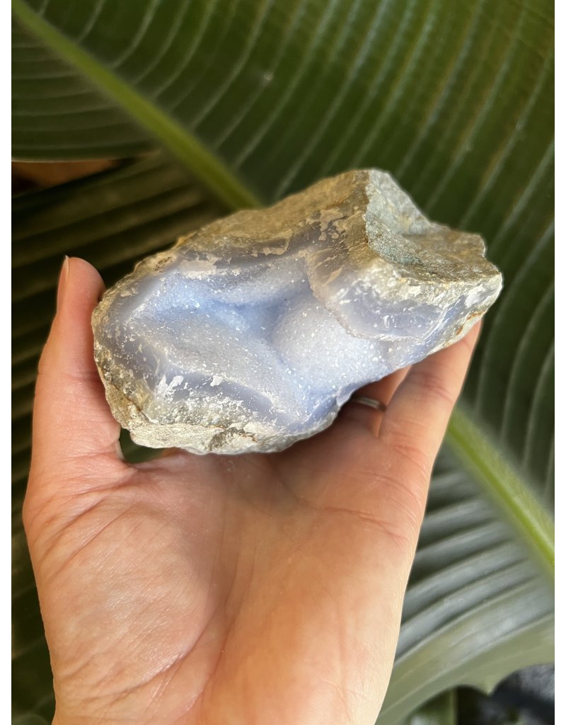Blue Lace Agate Raw Geode #117, 620gr