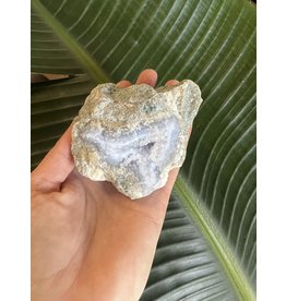 Blue Lace Agate Raw Geode #142, 308gr