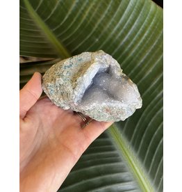 Blue Lace Agate Raw Geode #146, 364gr