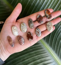 Crazy Lace Agate Cabochon; Drilled Hole, Oval Shape, Size Small *disc.*