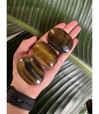 Tiger Eye Palm Stone, Size X-Small [50-74gr]