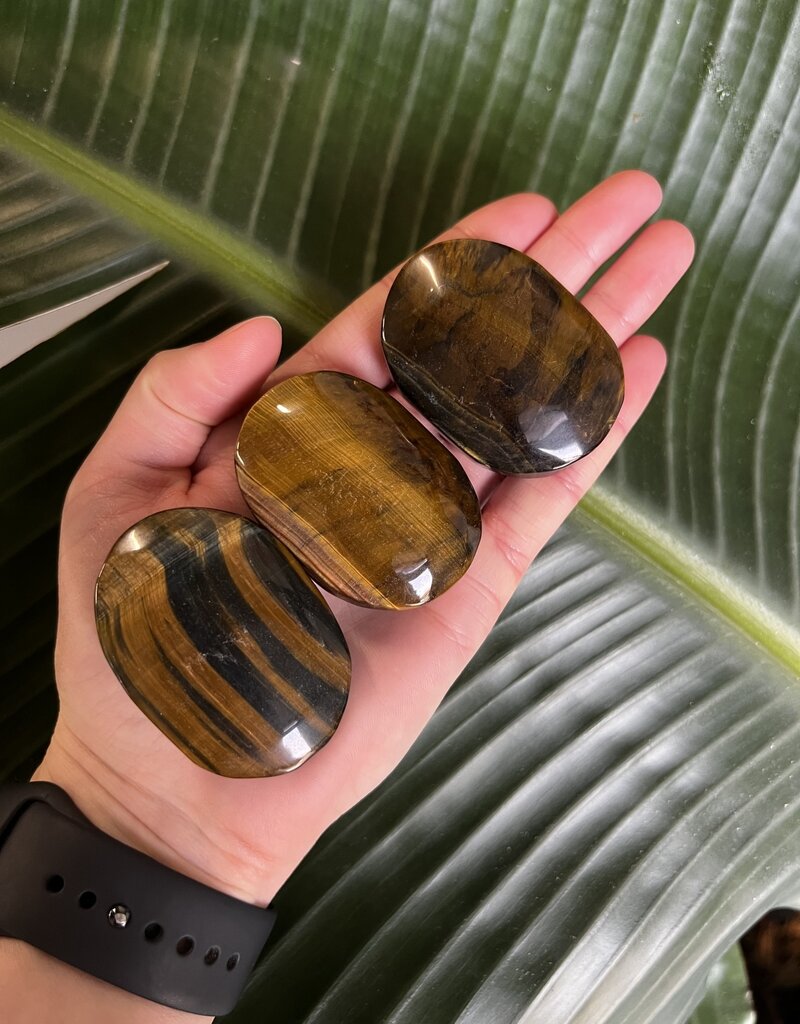 Tiger Eye Palm Stone, Size X-Small [50-74gr]
