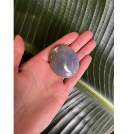 Agate Palm Stone, Size XX-Small [25-49gr]