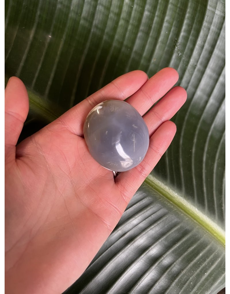 Agate Palm Stone, Size XX-Small [25-49gr]