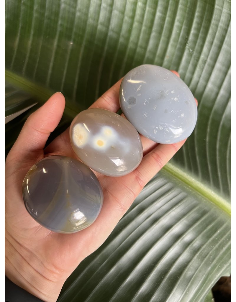 Agate Palm Stone Size Medium 100 124gr The Raw Rock Shop Inc