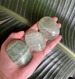 Green Fluorite Palm Stone, Size Small [75-99gr] *disc.*